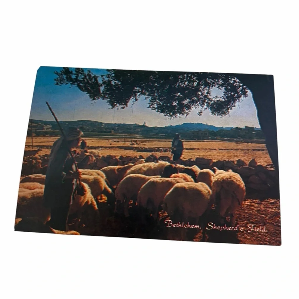 Bethlehem Shepherd’s Field Postcard — Pastoral Holy Land Scene